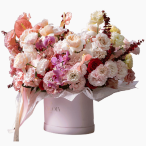 Xl box be my valentine