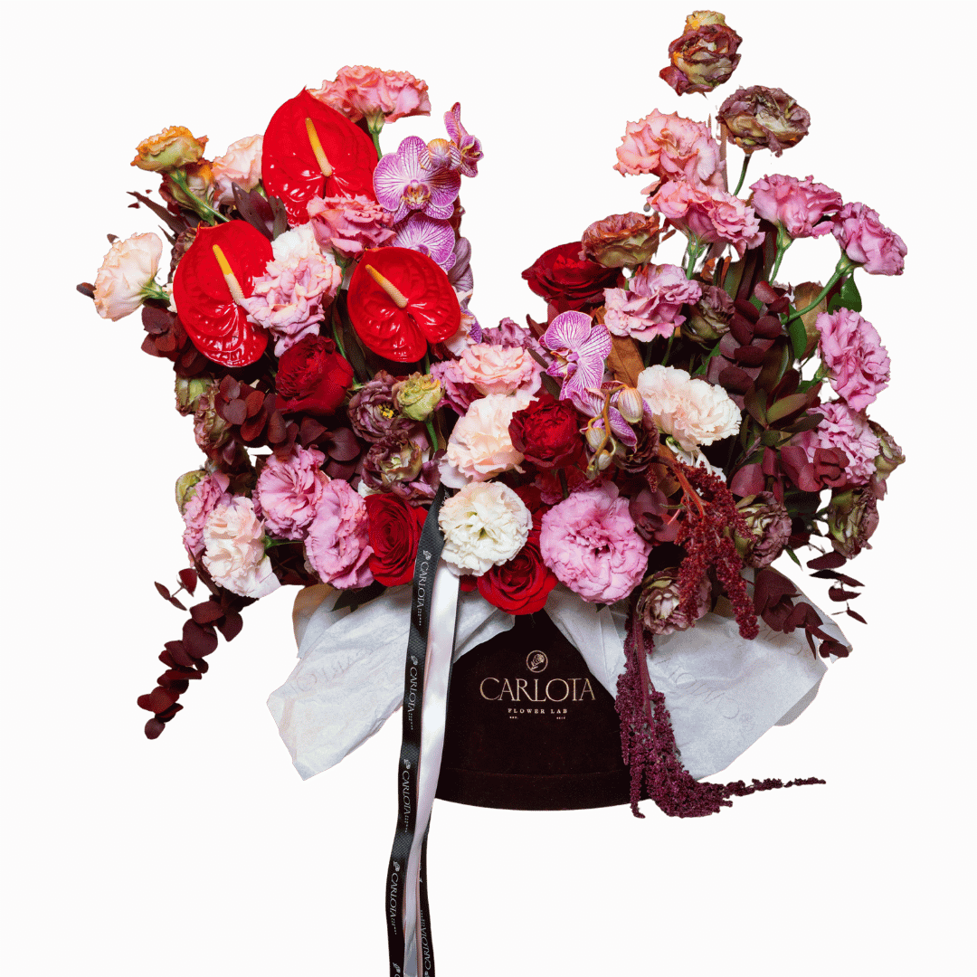 XL Box, After hours blooms