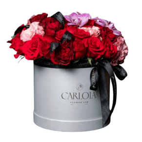 Small Box, The Midgnight Date