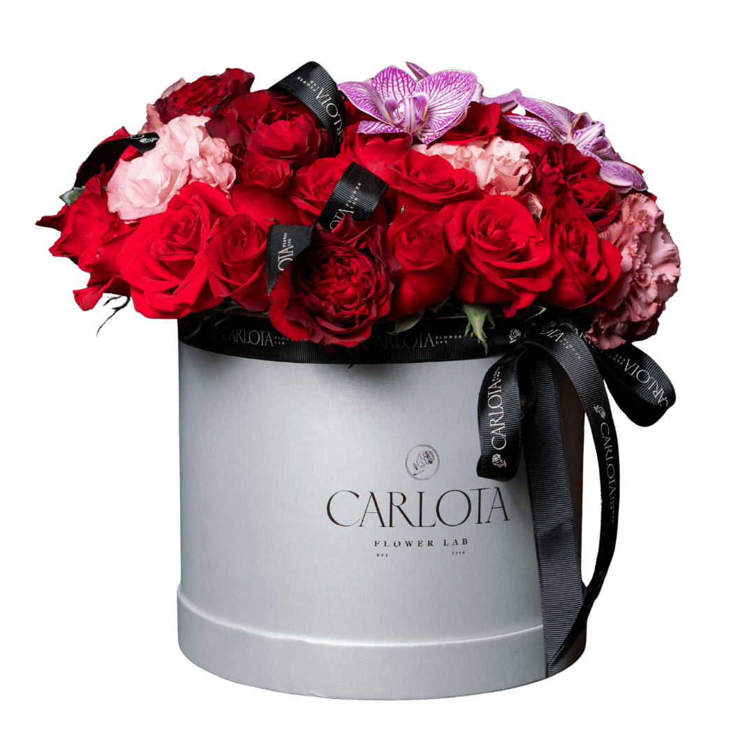 Small Box, The Midgnight Date